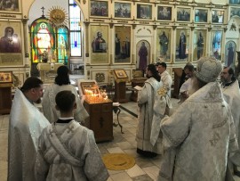 В Димитриевскую родительскую субботу епископ Варнава совершил Божественную литургию и панихиду в кафедальном храме епархии