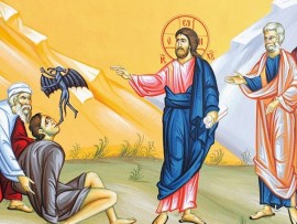 Архиерейская Литургия в соборе святых апостолов Петра и Павла