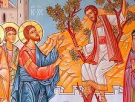 Неделя 33-я по Пятидесятнице, о Закхее; празднование в честь Собора новомучеников и исповедников Церкви Русской