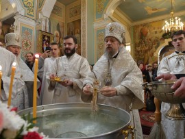 Служение викария Геннадия в день празднования Богоявления