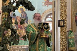 День Святого Духа. Архиерейское служение