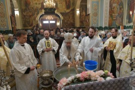 Служение викария Астанайской епархии еп. Геннадия в дни празднования Богоявления