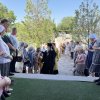 Неделя 3-я по Пятидесятнице. Архиерейское служение в храме Архангела Михаила г. Шу